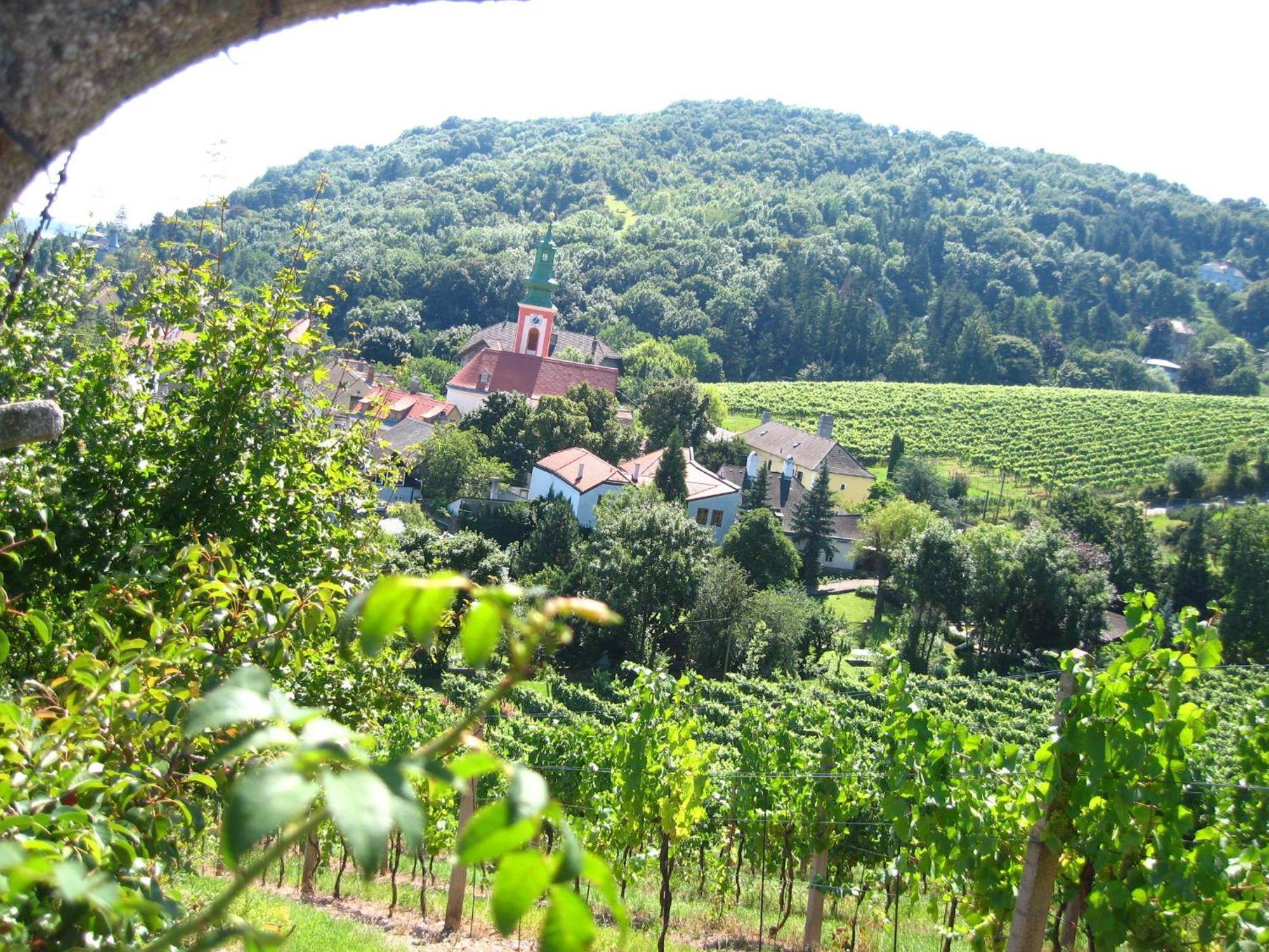 Vienna Cottage Zewnętrze zdjęcie