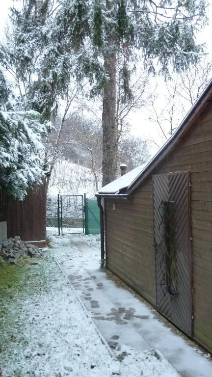 Vienna Cottage Zewnętrze zdjęcie