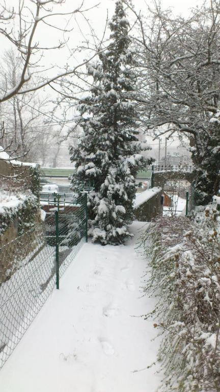 Vienna Cottage Zewnętrze zdjęcie
